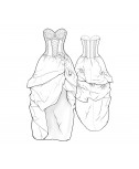 Custom-Fit Sewing Patterns - Couture High-Low Hem Gown